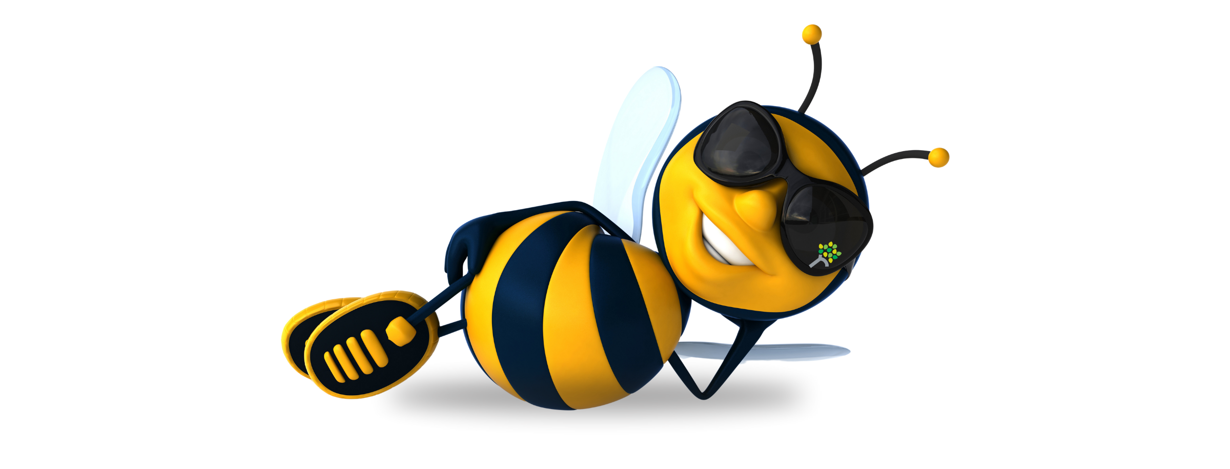 bee wearing sunglasses